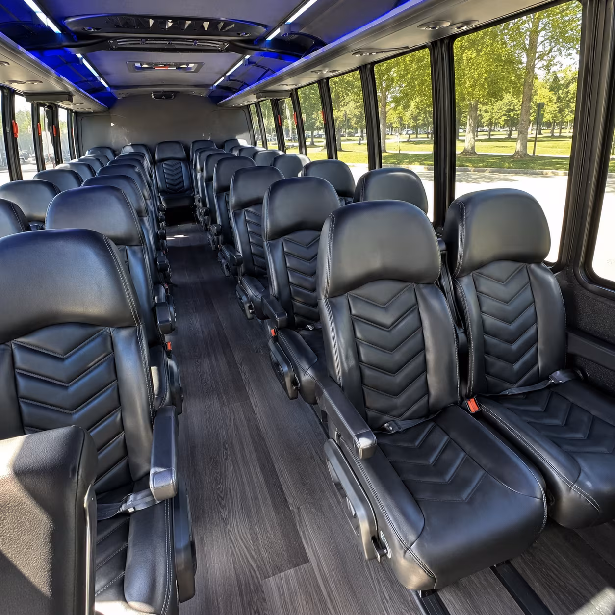 cary family reunion and vacation bus rentals